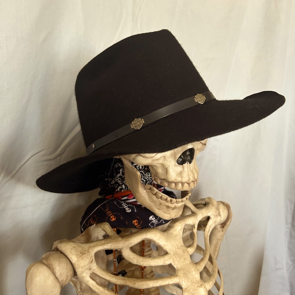 Genuine Harley Davidson fitted medium hat